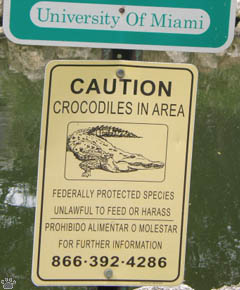 croc