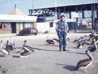 arica