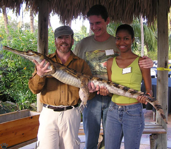 gharial